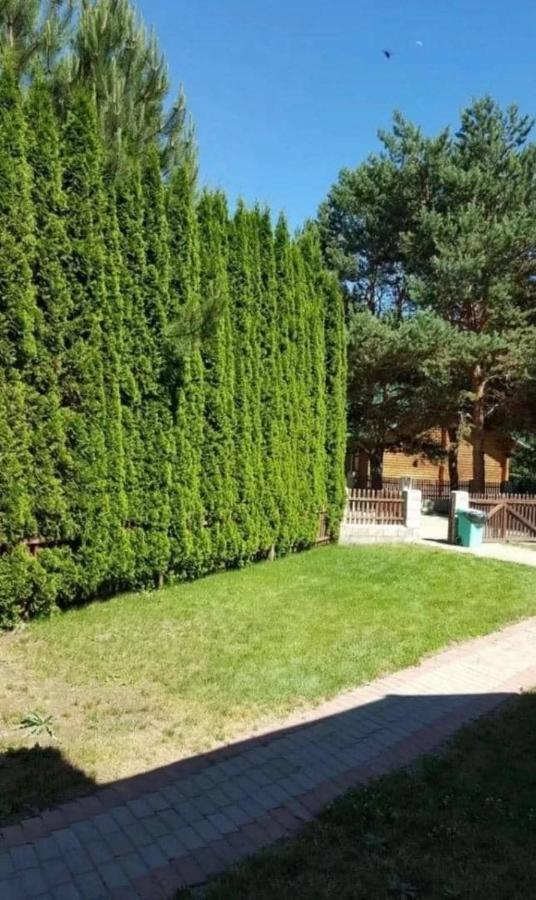 Центр Отдыха Радуга Apartman Chon-Sary-Oy Kültér fotó